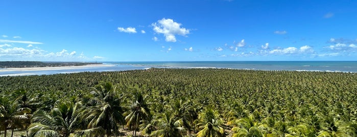 Mirante da Praia do Gunga is one of Visitas Obrigatórias em Alagoas.