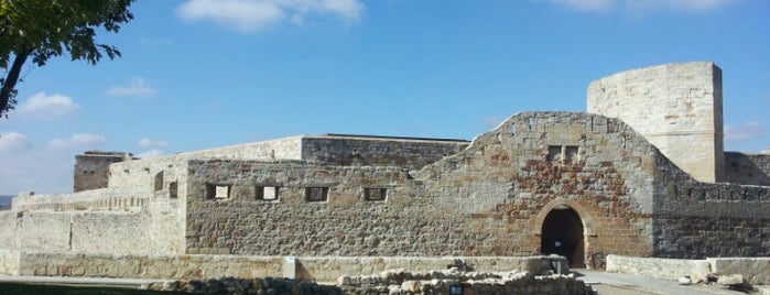 Castillo de Zamora is one of Castillos y Fortalezas.