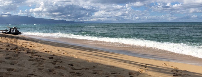 Lower Paia Park is one of Surfing.