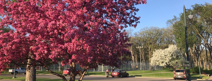 Island Park is one of Fargo.