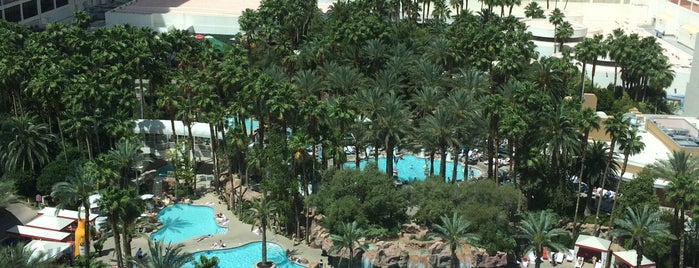Hilton Grand Vacations at the Flamingo is one of 時々贅沢、普段は普通 Sometimes extravagant, usually normal.