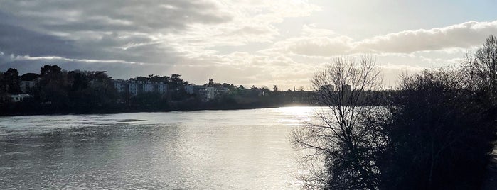 Pont Léopold Sédar Senghor is one of Nantes.