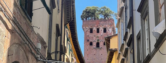Torre Guinigi is one of สถานที่ที่บันทึกไว้ของ Fabio.