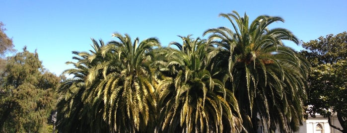 Dolores Heights is one of 47* hills of San Francisco.