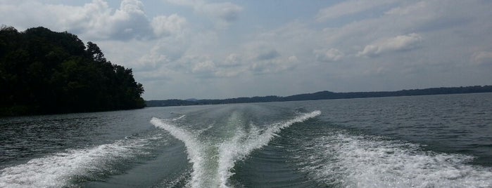 Tellico Lake is one of 'Great Lakes' Within 150 Miles of Nashville.