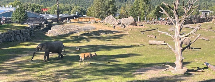 Borås Djurpark is one of Sweden with kid.