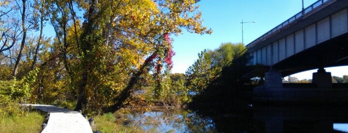 Theodore Roosevelt Island is one of DC Dabblin'.