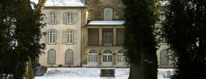 Schloss Jegenstorf is one of Swiss Museum Pass.