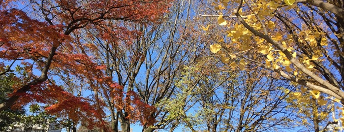 苗間西公園 is one of 公園_埼玉県.