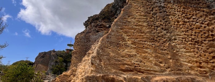 鷹取山 is one of 三浦半島の山々.