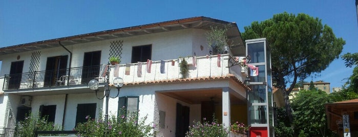 Residence Al Lago is one of 2013 Italien Siena Palio.