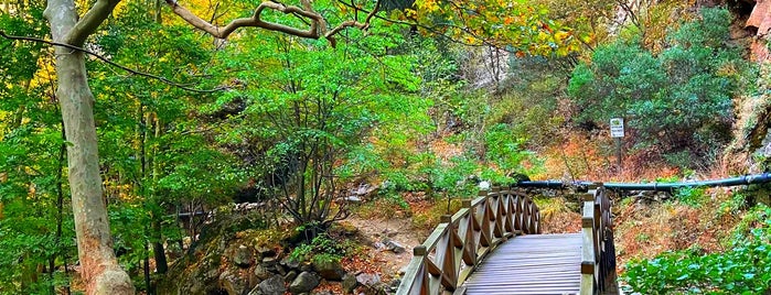 Sadağı Kanyonu Tabiat Parkı is one of ÇkaleBkesirBursa.