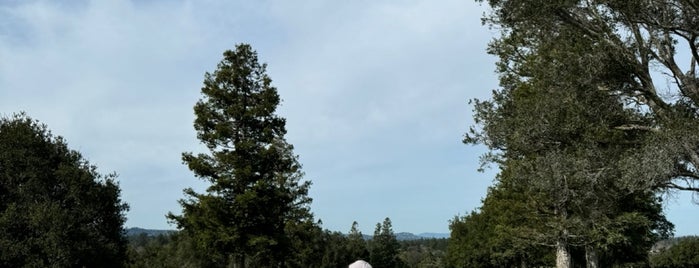 Stanford University Golf Course is one of Thomas' Conquered Golf Courses.