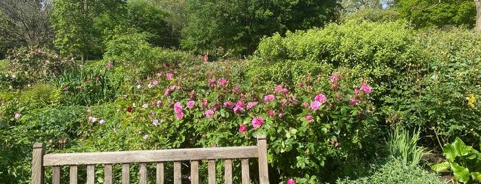 Rose Garden is one of Parks.