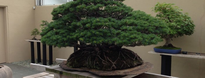 Bonsai Museum is one of NYC.