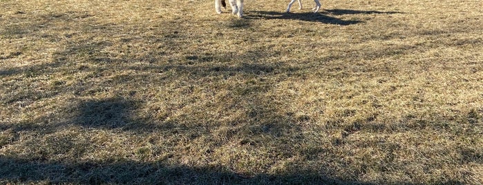 Roverwest Dog Exercise Area is one of Places I've Mayored.