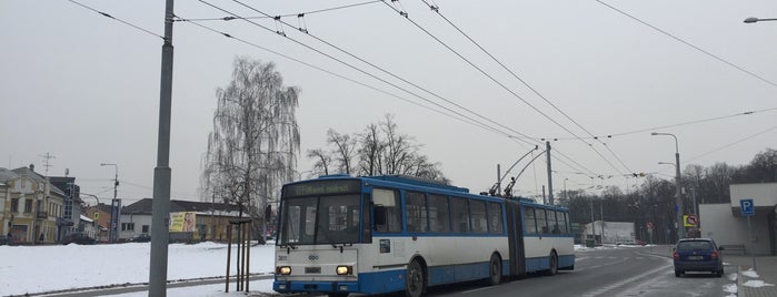 Sokola Tůmy (bus) is one of MHD Ostrava 1/2.