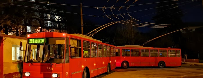 Koliba (bus, trolleybus) is one of Bratislava MHD Trolejbus 203.