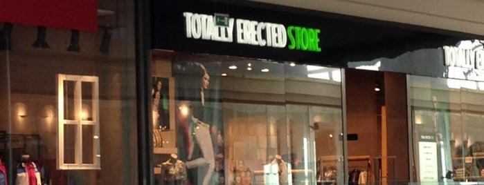 Totally Erected Store is one of Lugares favoritos de Anastasiya.
