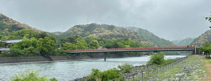 朝霧橋 is one of 渡った橋（西日本）.