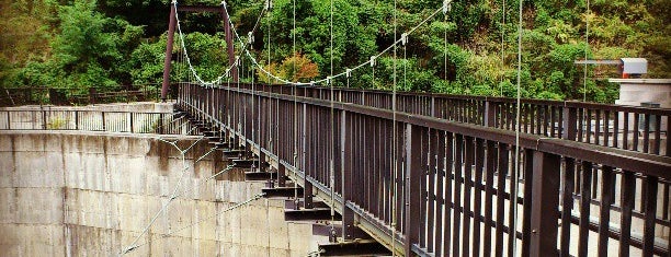 滝沢ダムの吊り橋 is one of Bridge.