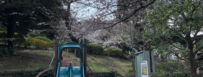 Motomachi Park is one of MAC : понравившиеся места.