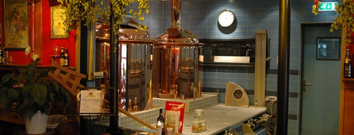 de Beyerd is one of Dutch Craft Beer Breweries.