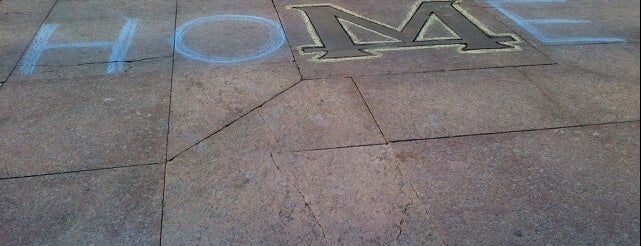 University of Michigan Diag is one of UMich Bucket List.