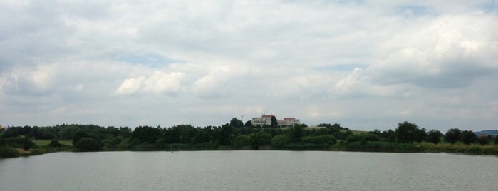 Rybnik Argentina is one of Places in Bystřice nad Pernštejnem.