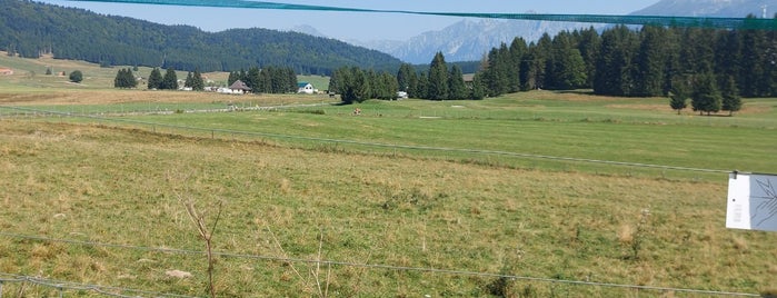 Altopiano del Cansiglio is one of landmarks.