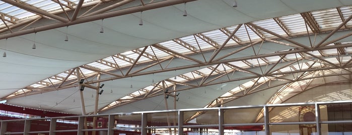 Şarm El Şeyh Uluslararası Havalimanı (SSH) is one of PAST TRIPS.