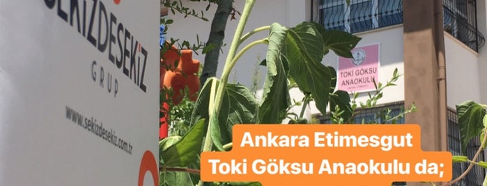 Toki Göksu Anaokulu is one of Banu'nun Beğendiği Mekanlar.