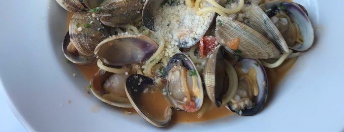 Don Antonio Trattoria is one of Marin Spots to Try.