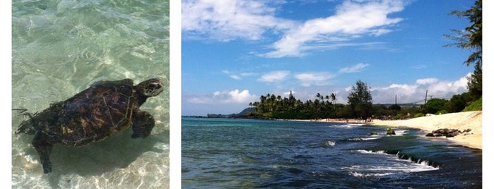 Laniakea (Turtle) Beach is one of Best Beaches in Oahu Hawaii.