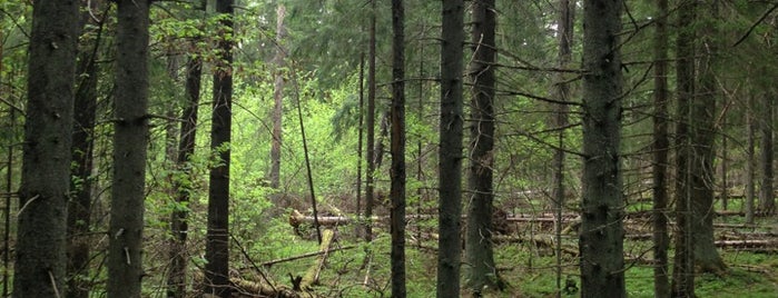 Karkalin luonnonpuisto is one of Kansallis- ja luonnonpuistot.