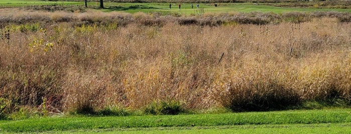 Oak Meadows Golf Course is one of Golf courses.