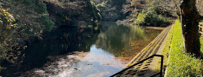 散在ガ池森林公園 is one of 神奈川県の公園.