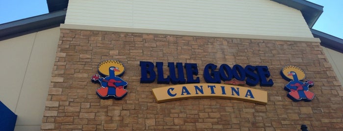 Blue Goose Cantina is one of สถานที่ที่ Betty ถูกใจ.