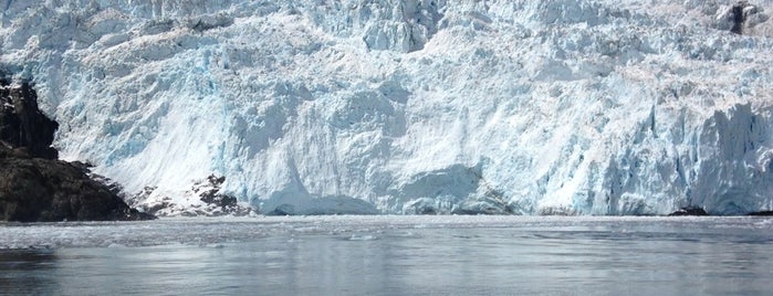 Kenai Fjords Tours is one of Krzysztofさんのお気に入りスポット.