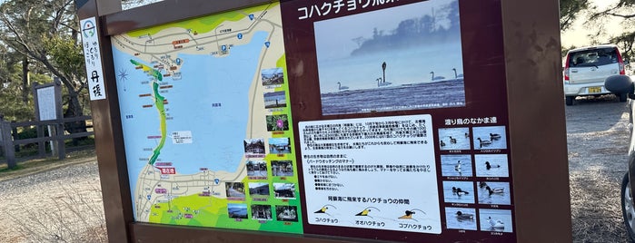 天橋立公園 is one of 京都.