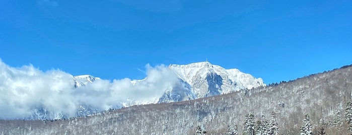 Parcul Natural Bucegi is one of KMD.