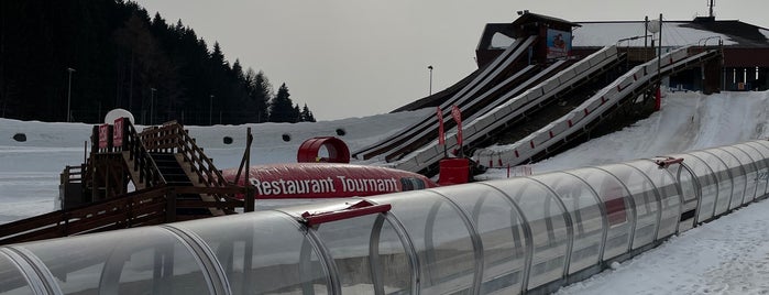 Tobogganing is one of Switzerland.