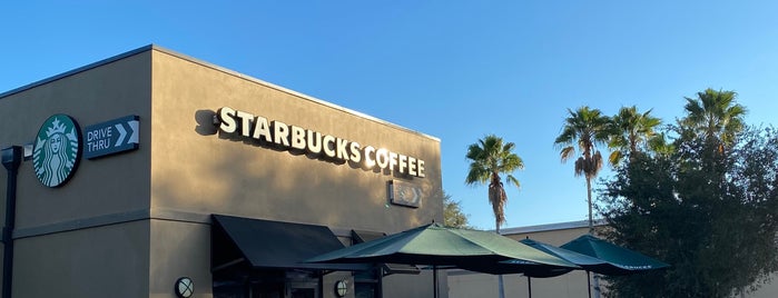 Starbucks is one of DRINKING in SRQ.