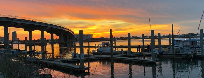 Outcast Marina is one of Best TO-DO in Orange Beach.