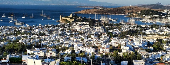 Bodrum Top Hotels