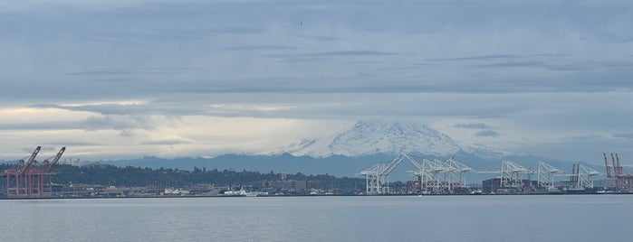 Elliott Bay Fishing Pier is one of The 15 Best Places for Harbors in Seattle.