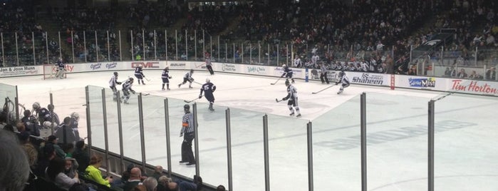 Munn Ice Arena is one of College Hockey Rinks.