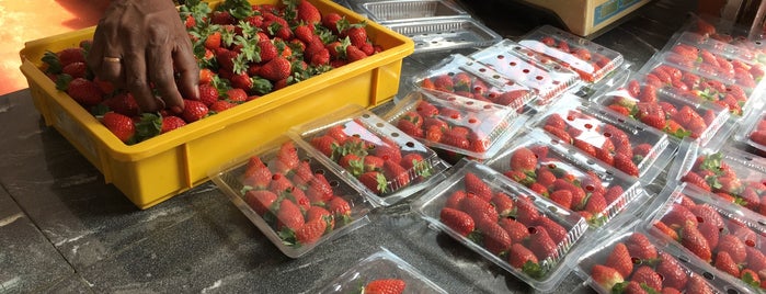 Big Red Strawberry Farm (Agro Tourism Garden) is one of Gespeicherte Orte von Endless Love.