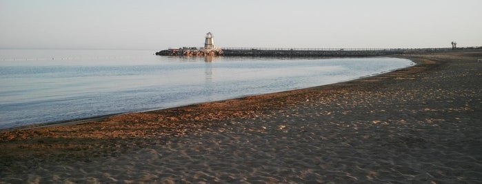 Noah's Ark Hotel Beach is one of Lugares favoritos de Murat.