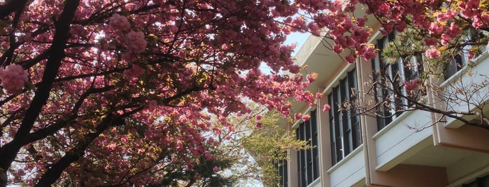 Sogang University Loyola Library is one of life of learning.